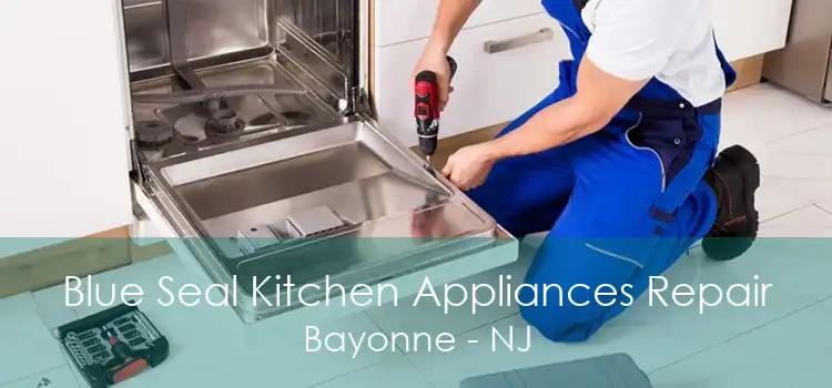 Blue Seal Kitchen Appliances Repair Bayonne - NJ