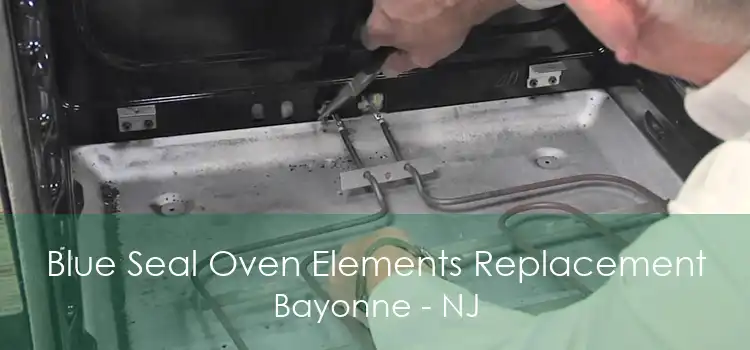 Blue Seal Oven Elements Replacement Bayonne - NJ