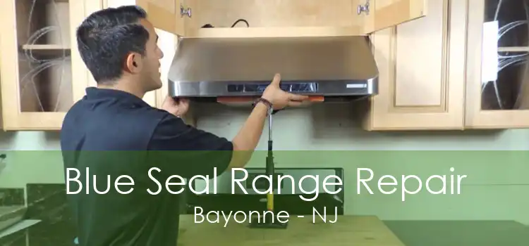 Blue Seal Range Repair Bayonne - NJ