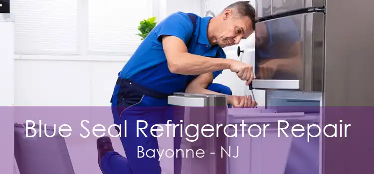 Blue Seal Refrigerator Repair Bayonne - NJ