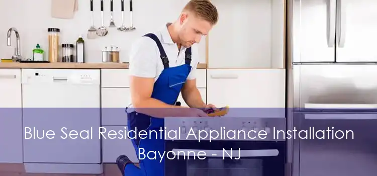 Blue Seal Residential Appliance Installation Bayonne - NJ