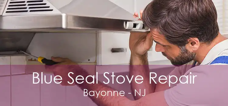 Blue Seal Stove Repair Bayonne - NJ