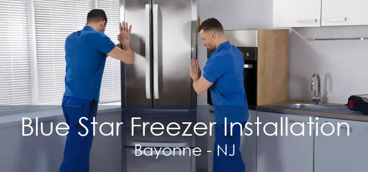 Blue Star Freezer Installation Bayonne - NJ