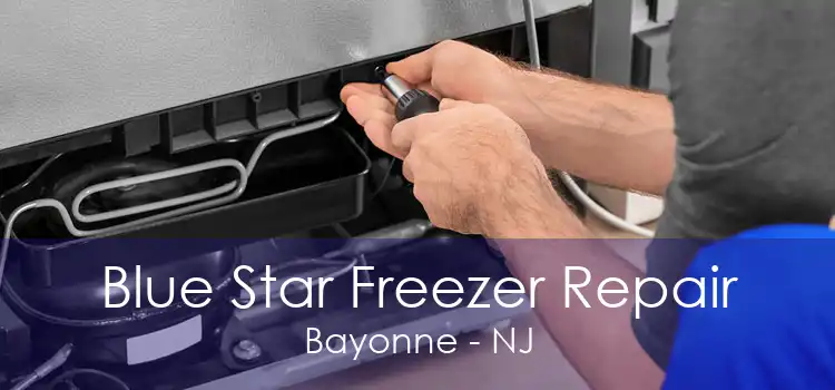 Blue Star Freezer Repair Bayonne - NJ