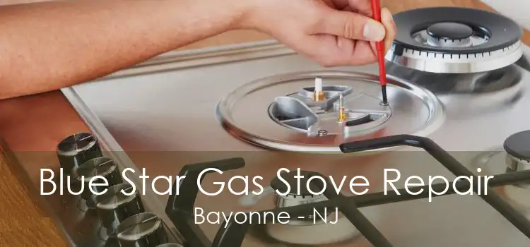 Blue Star Gas Stove Repair Bayonne - NJ