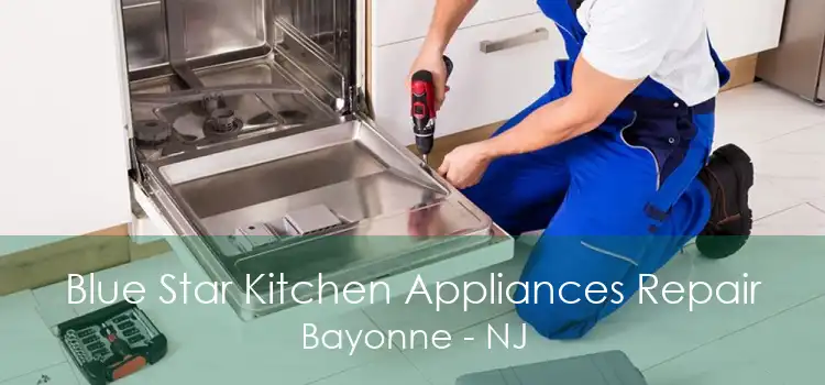 Blue Star Kitchen Appliances Repair Bayonne - NJ