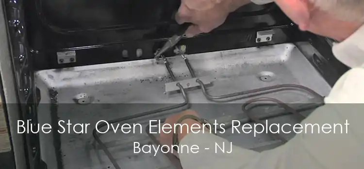 Blue Star Oven Elements Replacement Bayonne - NJ