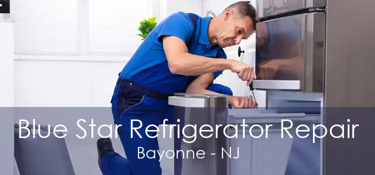 Blue Star Refrigerator Repair Bayonne - NJ