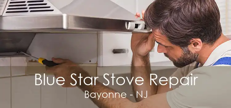 Blue Star Stove Repair Bayonne - NJ