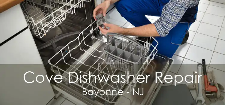 Cove Dishwasher Repair Bayonne - NJ