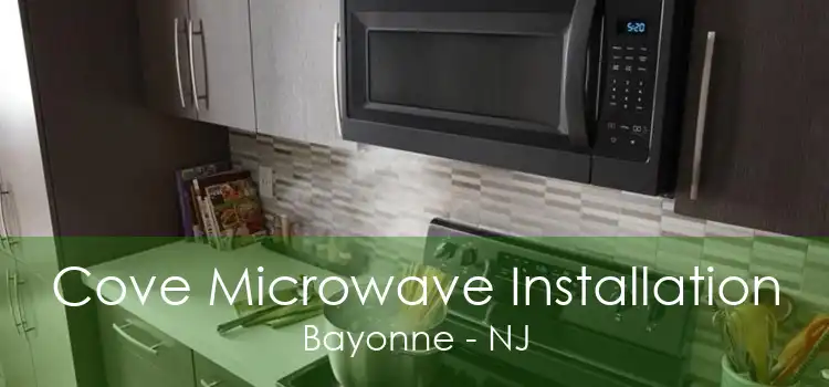 Cove Microwave Installation Bayonne - NJ