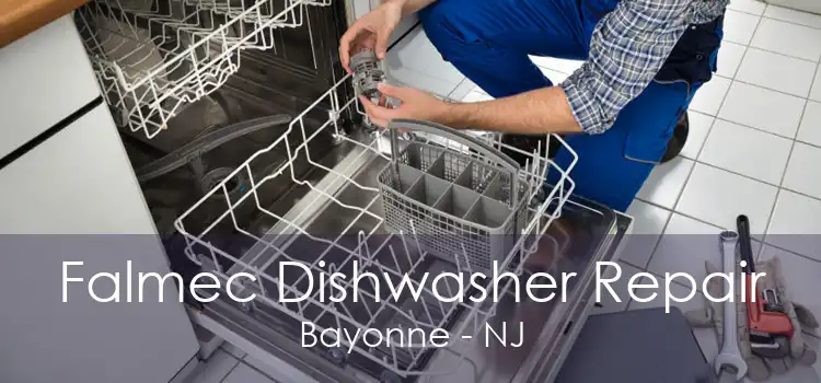 Falmec Dishwasher Repair Bayonne - NJ