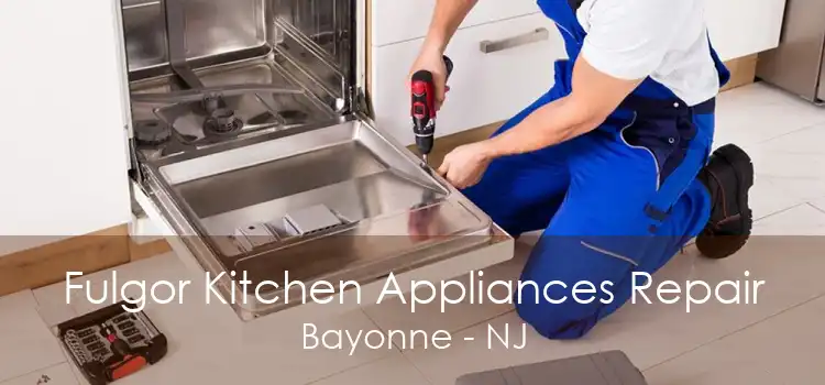 Fulgor Kitchen Appliances Repair Bayonne - NJ