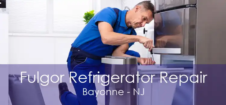 Fulgor Refrigerator Repair Bayonne - NJ