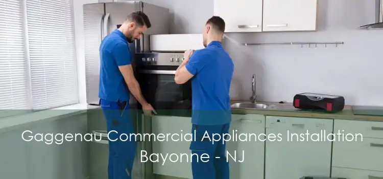 Gaggenau Commercial Appliances Installation Bayonne - NJ