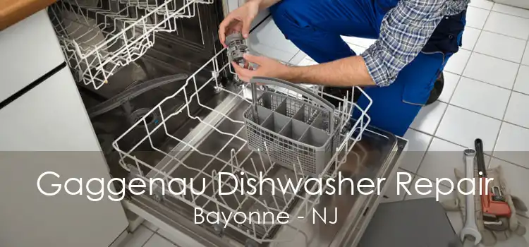 Gaggenau Dishwasher Repair Bayonne - NJ