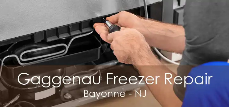 Gaggenau Freezer Repair Bayonne - NJ