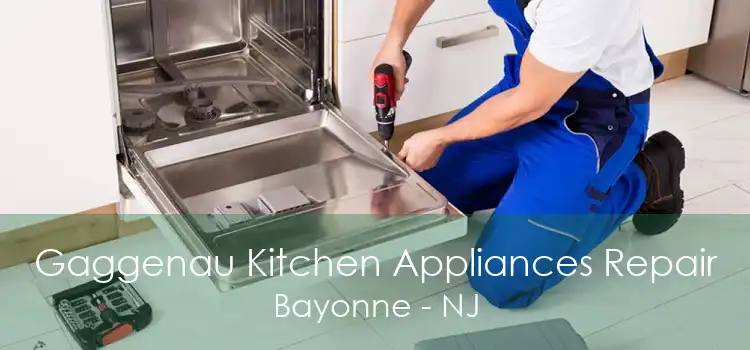 Gaggenau Kitchen Appliances Repair Bayonne - NJ