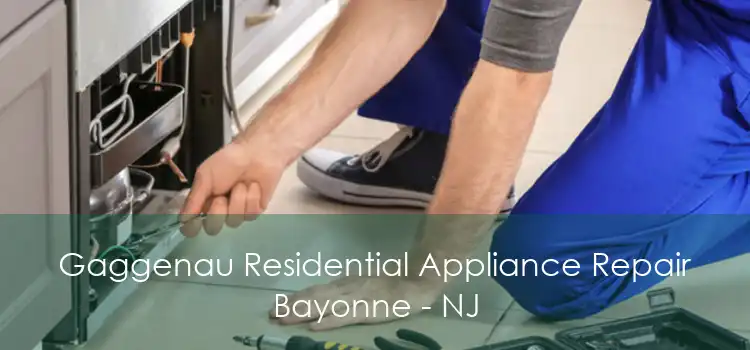 Gaggenau Residential Appliance Repair Bayonne - NJ