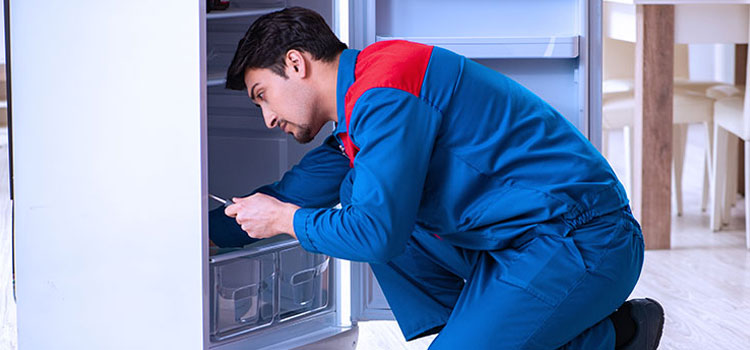 Freezer Repair Services in Bayonne, New Jersey