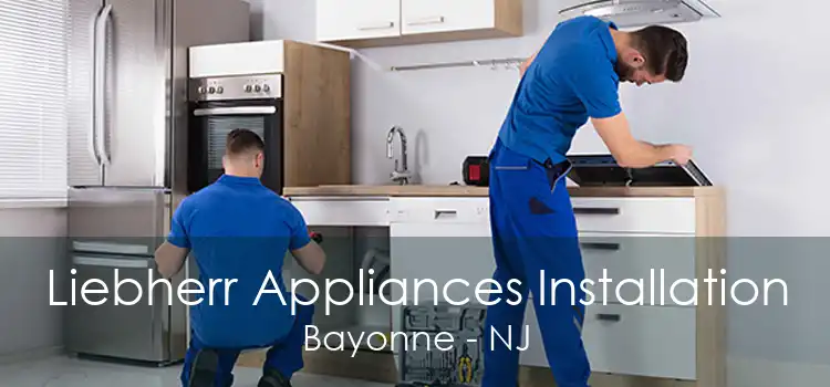 Liebherr Appliances Installation Bayonne - NJ