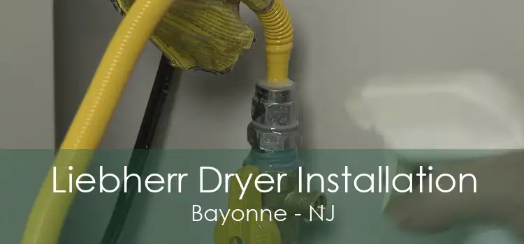 Liebherr Dryer Installation Bayonne - NJ