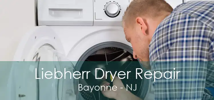 Liebherr Dryer Repair Bayonne - NJ