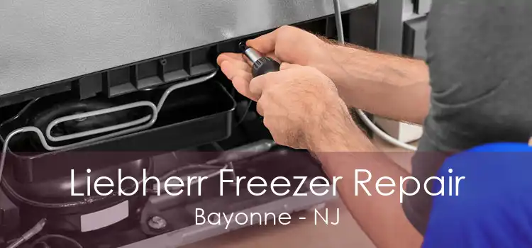 Liebherr Freezer Repair Bayonne - NJ