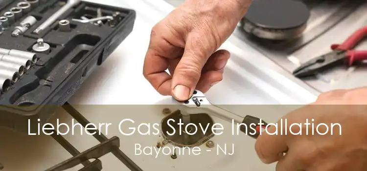 Liebherr Gas Stove Installation Bayonne - NJ