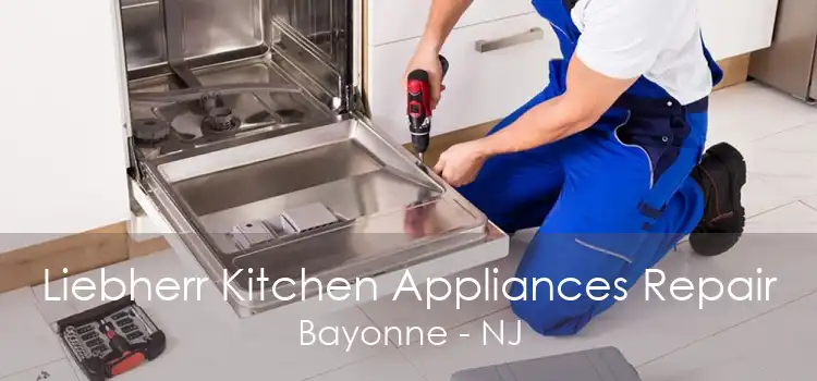 Liebherr Kitchen Appliances Repair Bayonne - NJ