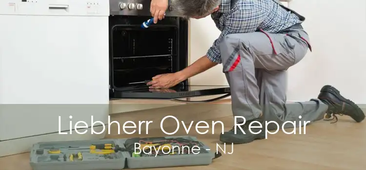 Liebherr Oven Repair Bayonne - NJ