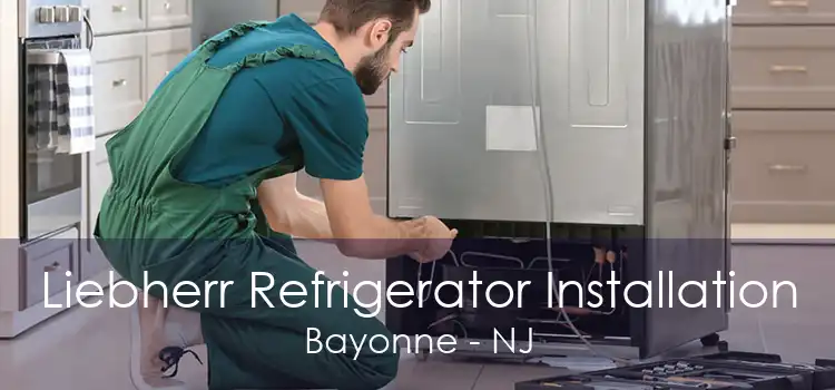 Liebherr Refrigerator Installation Bayonne - NJ