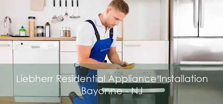 Liebherr Residential Appliance Installation Bayonne - NJ