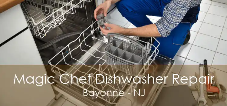 Magic Chef Dishwasher Repair Bayonne - NJ