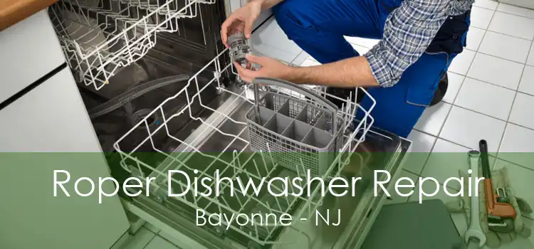 Roper Dishwasher Repair Bayonne - NJ