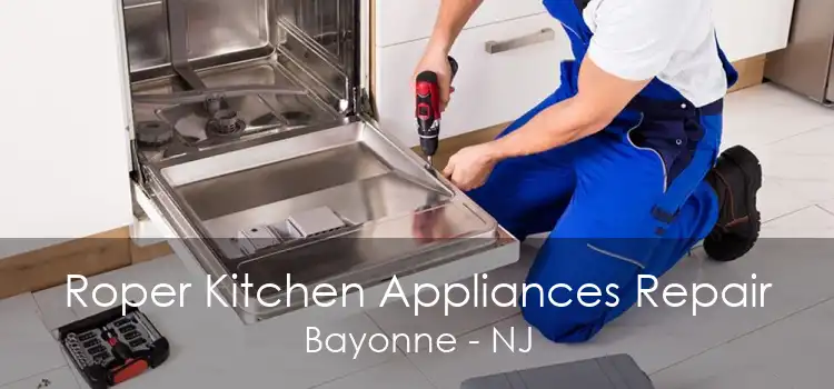 Roper Kitchen Appliances Repair Bayonne - NJ