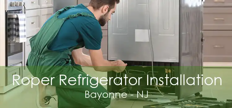 Roper Refrigerator Installation Bayonne - NJ