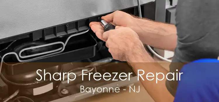 Sharp Freezer Repair Bayonne - NJ