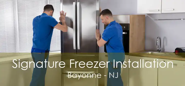 Signature Freezer Installation Bayonne - NJ