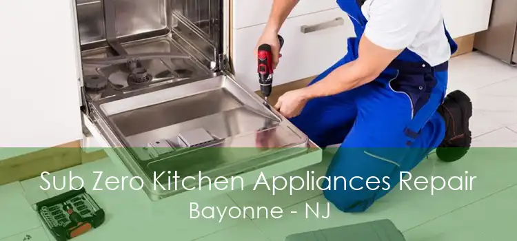 Sub Zero Kitchen Appliances Repair Bayonne - NJ