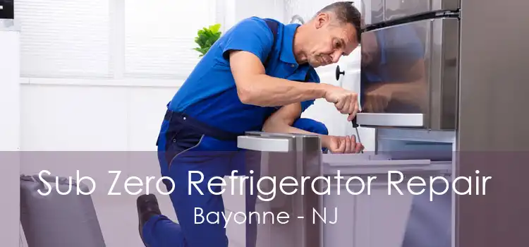 Sub Zero Refrigerator Repair Bayonne - NJ