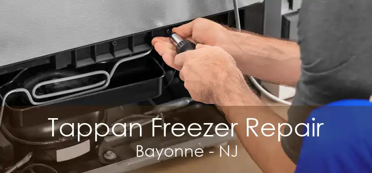 Tappan Freezer Repair Bayonne - NJ