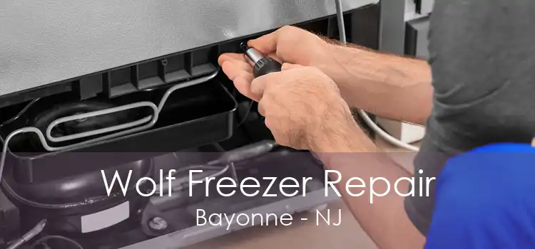 Wolf Freezer Repair Bayonne - NJ