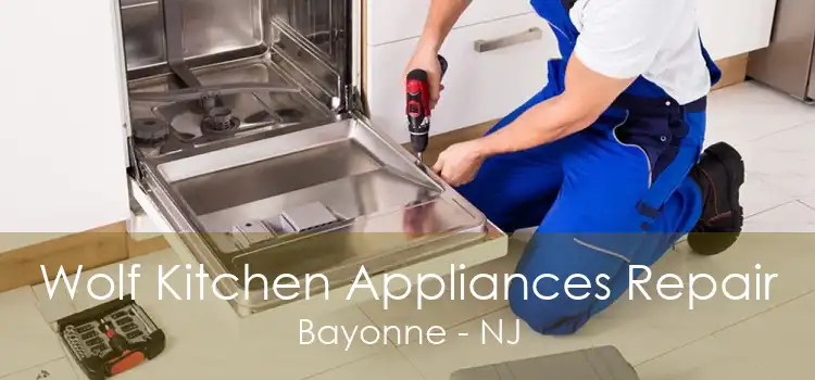 Wolf Kitchen Appliances Repair Bayonne - NJ