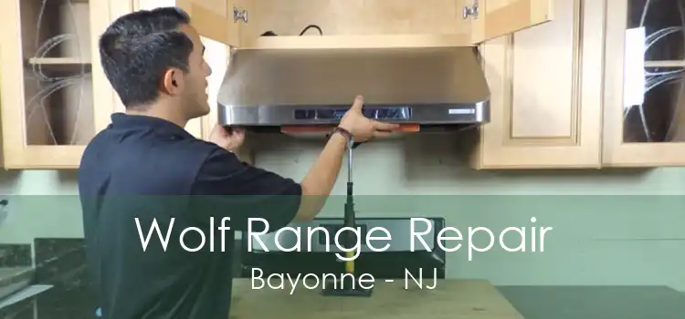 Wolf Range Repair Bayonne - NJ