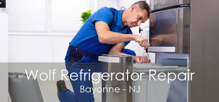 Wolf Refrigerator Repair Bayonne - NJ