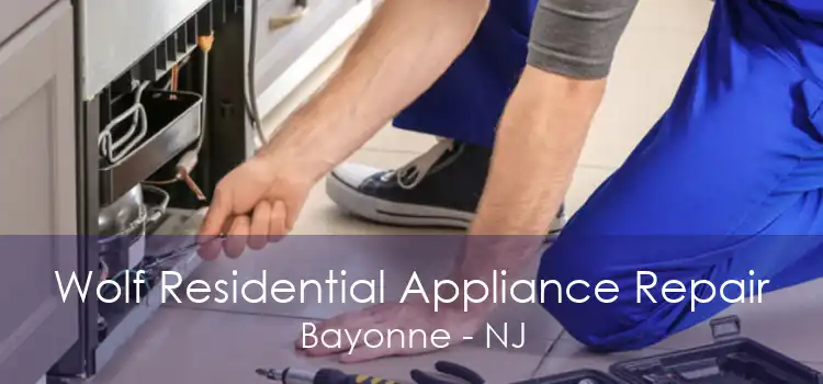 Wolf Residential Appliance Repair Bayonne - NJ